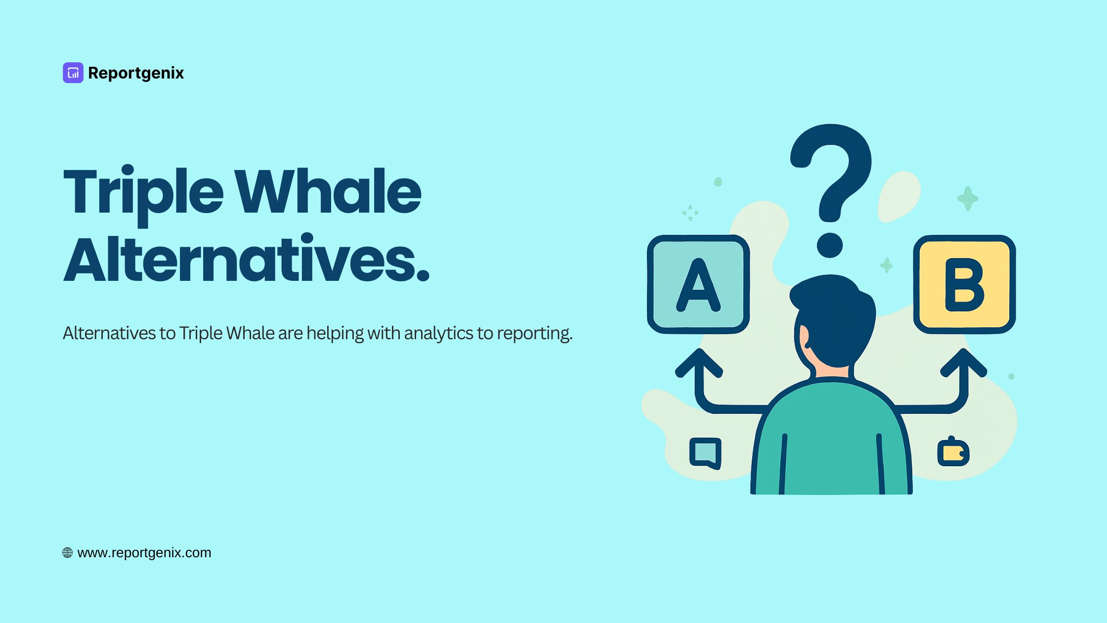 7 Best Triple Whale Alternatives for Shopify Stores in 2025