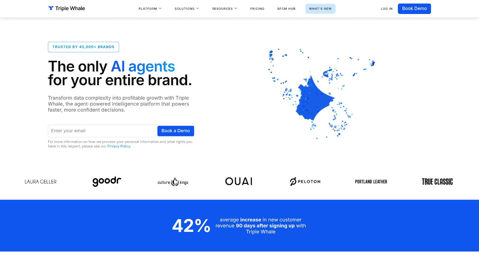 Top 8 Triple Whale Alternatives for Shopify Stores for 2025